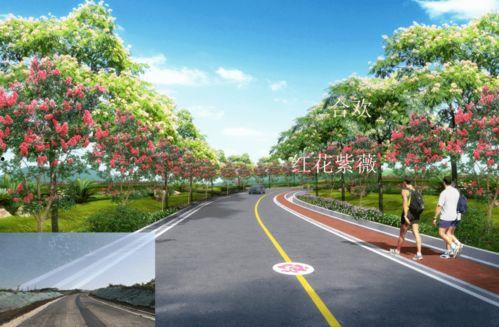 网红公司成长道路图片,从萌芽到璀璨