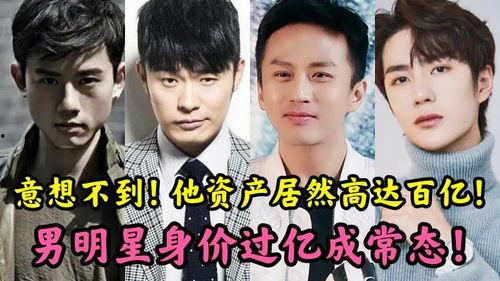 明星宝弟全集,璀璨星途，逐梦青春