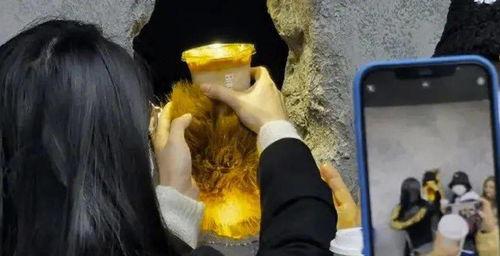 上海网红咖啡店熊,熊生的魅力与故事