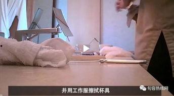 福州酒店爆料视频,揭秘酒店内幕，服务质量引关注