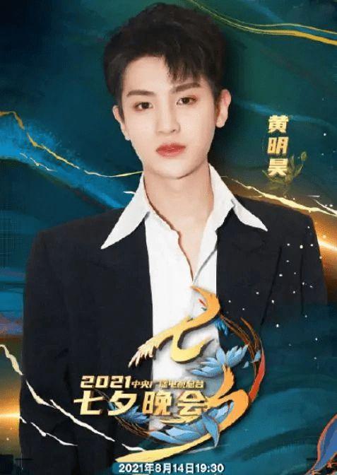 刘 流量明星,闪耀娱乐圈的璀璨星辰