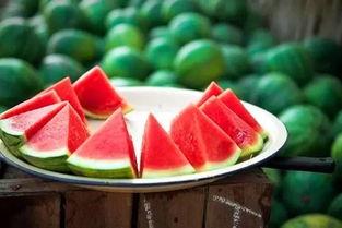 立秋吃瓜的图片,探寻传统习俗中的美食文化