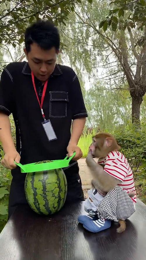 永久免费吃瓜小神器是真的吗