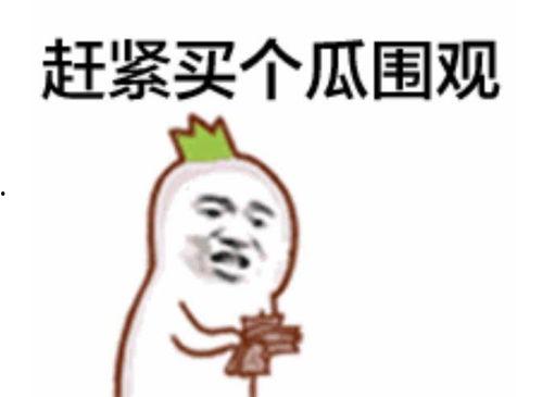 豪门夫人吃瓜群众资料,揭秘吃瓜群众的八卦盛宴