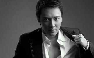 电影男明星大全,揭秘电影男明星大全中的璀璨星辰