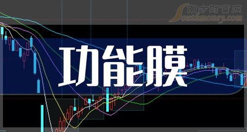 最新鱼竿爆料新闻报道,尖端科技引领钓鱼新潮流