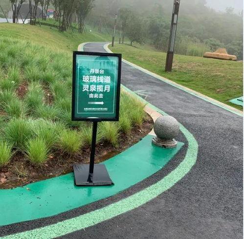 森林公园的网红打卡图片