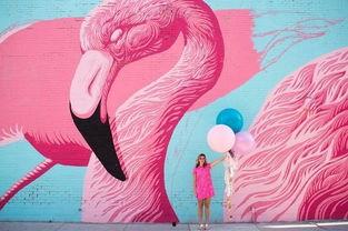 今日头条火烈鸟衣服