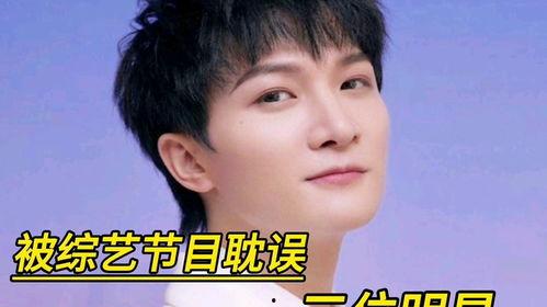 被耽误明星,揭秘被耽误明星的悲欢人生